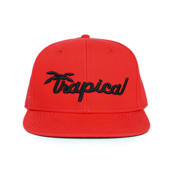 Trapical Snapbacks - Trapical