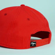Trapical Snapbacks - Trapical