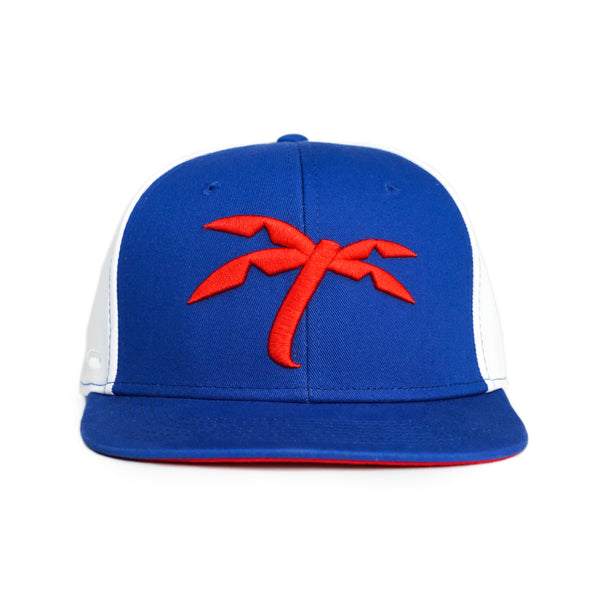 Palm Tree Snapbacks - Trapical