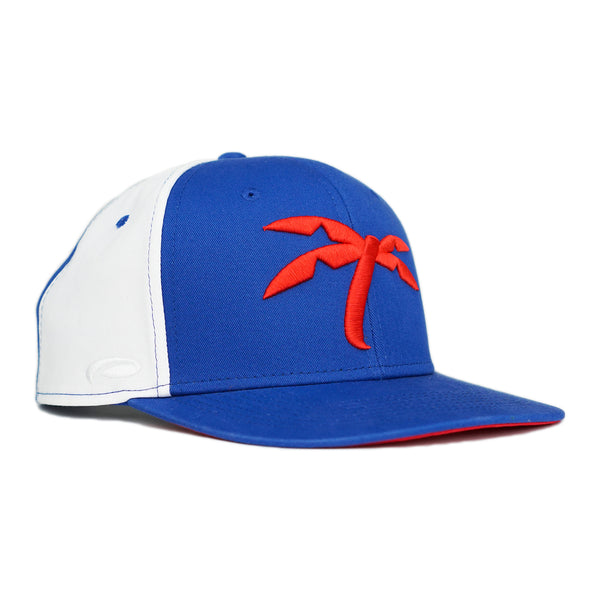 Palm Tree Snapbacks - Trapical