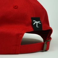 Dad Hats - Trapical