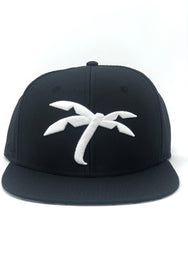 Black Palm Tree snapback