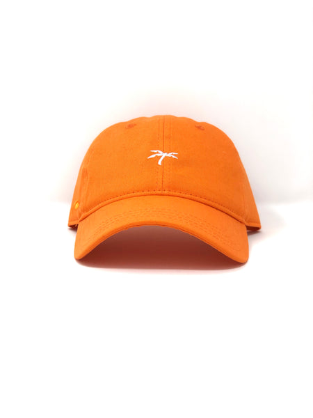 Dad hat orange