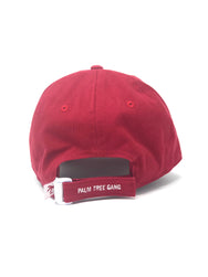 Dad hat red