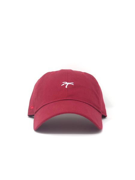 Dad hat red