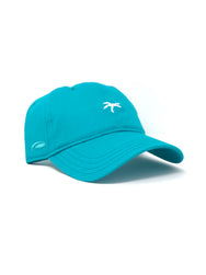 Dad hat teal