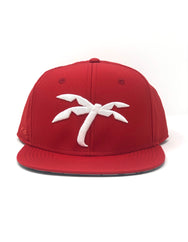 Red Palm Tree snapback