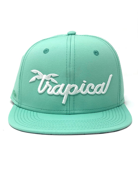 Mint Signature snapback