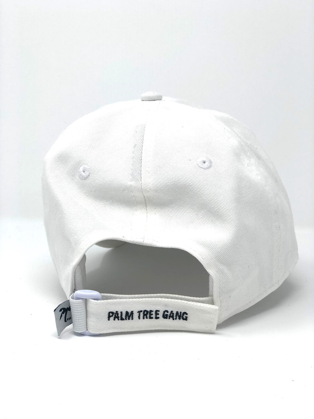 Dad hat white