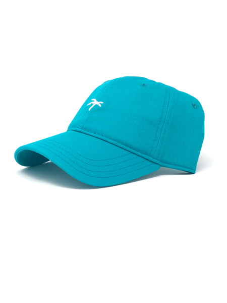 Dad hat teal