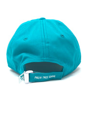 Dad hat teal